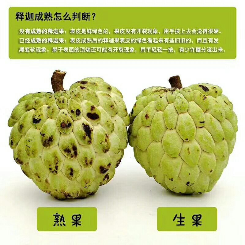 释迦果