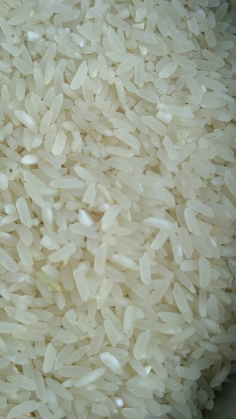 香米