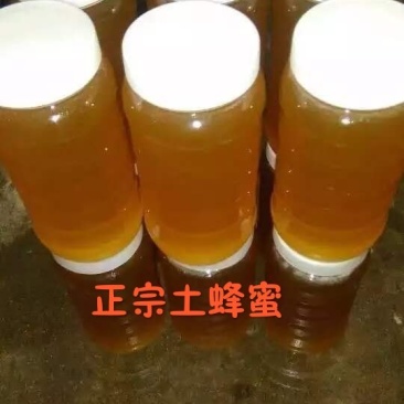 正宗土蜂蜜原汁原味