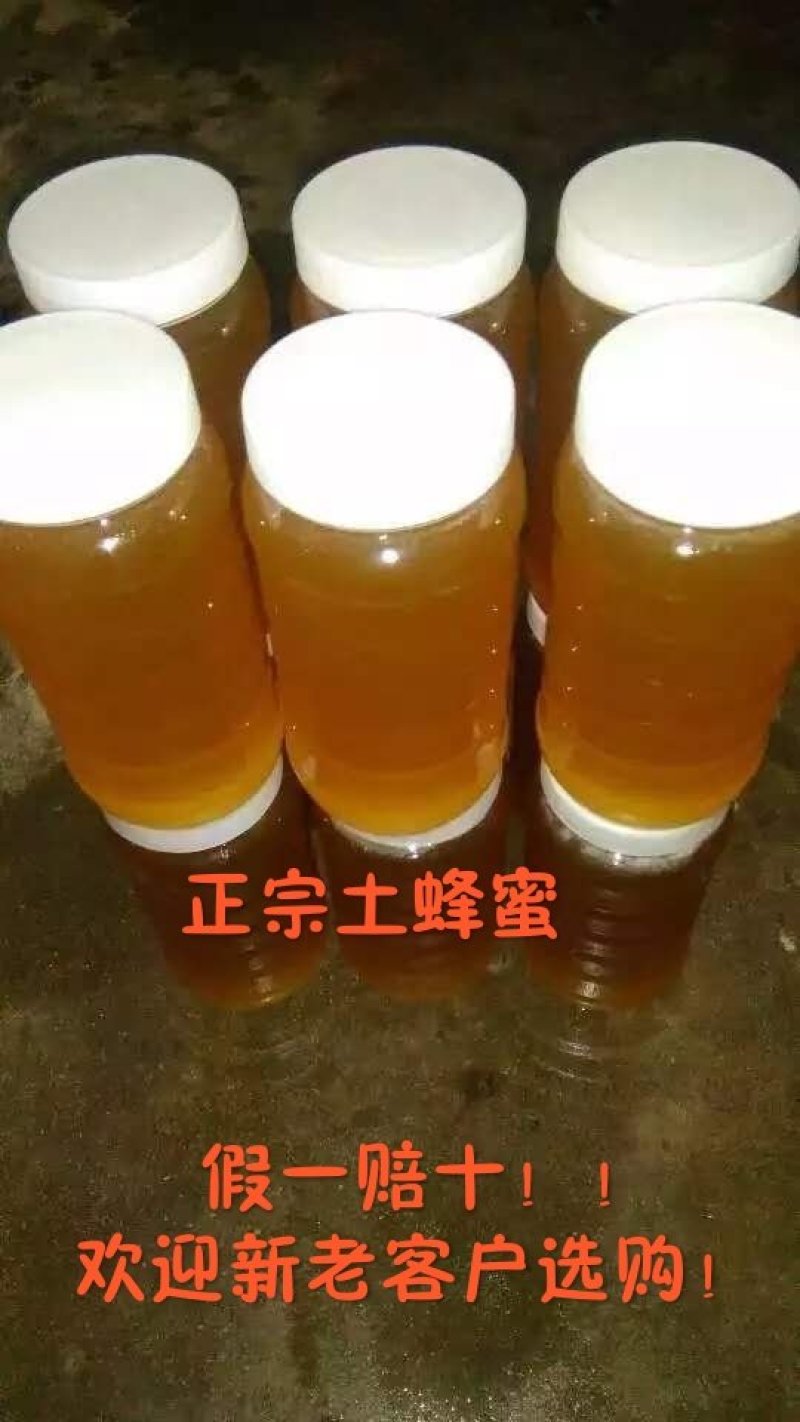 正宗土蜂蜜原汁原味