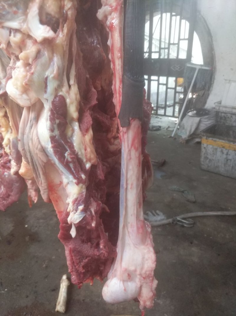 新鲜驴肉