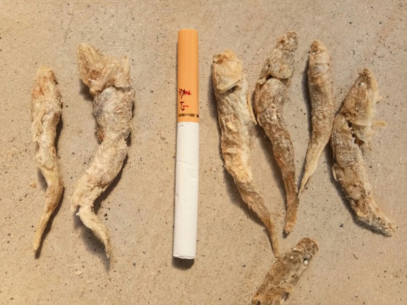 现有大量饲料鱼干，干度好盐分低蛋白高，一手货源