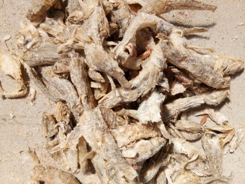 现有大量饲料鱼干，干度好盐分低蛋白高，一手货源