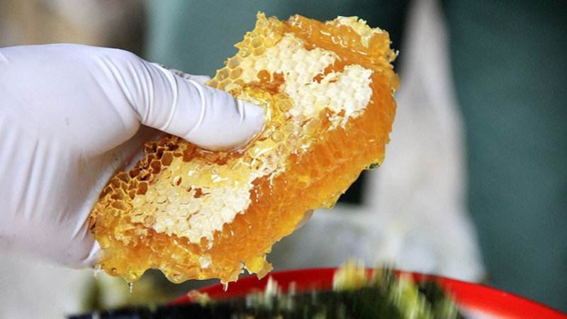 正宗土蜂蜜原汁原味