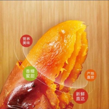烟薯25商品薯黄心3两以上