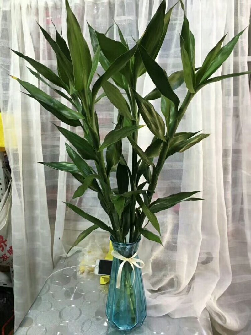 鲜花瓶，花瓶