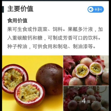 百香果