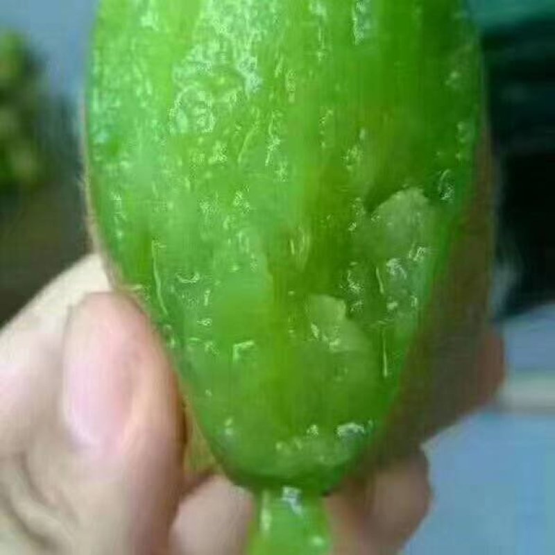 一件代发原产地周至猕猴桃