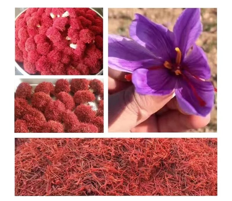 藏红花，特一级