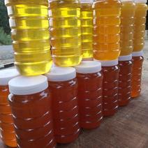 新疆沙漠红柳蜂蜜