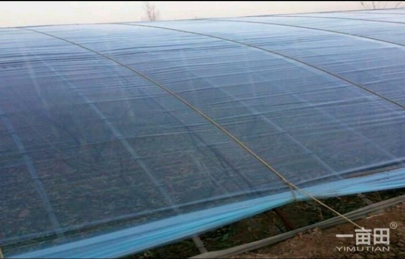 大棚无滴膜蔬菜花卉专用7s/10s耐用耐拉
