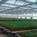 大棚无滴膜蔬菜花卉专用7s/10s耐用耐拉