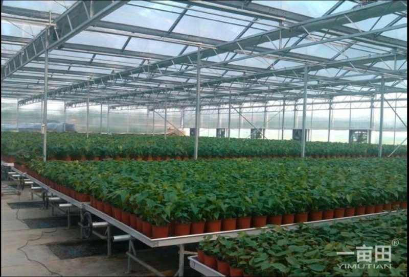 大棚无滴膜蔬菜花卉专用7s/10s耐用耐拉