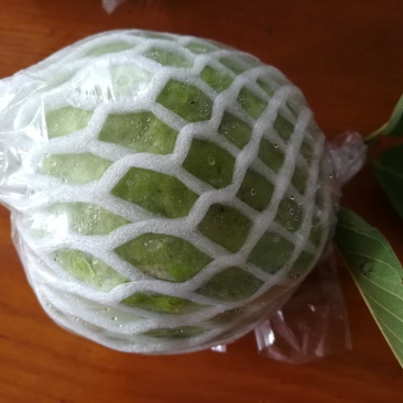 番石榴
