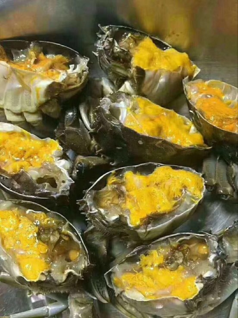 螃蟹食用雄蟹