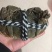 螃蟹食用雄蟹