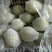 鸭梨纸加膜400~450g