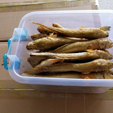 对虾干，光鱼干