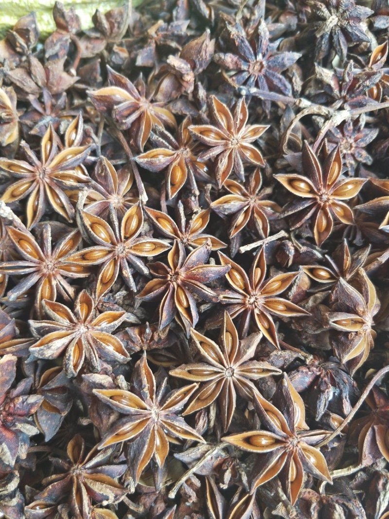 广西八角烫水果无硫磺秋大料一级货