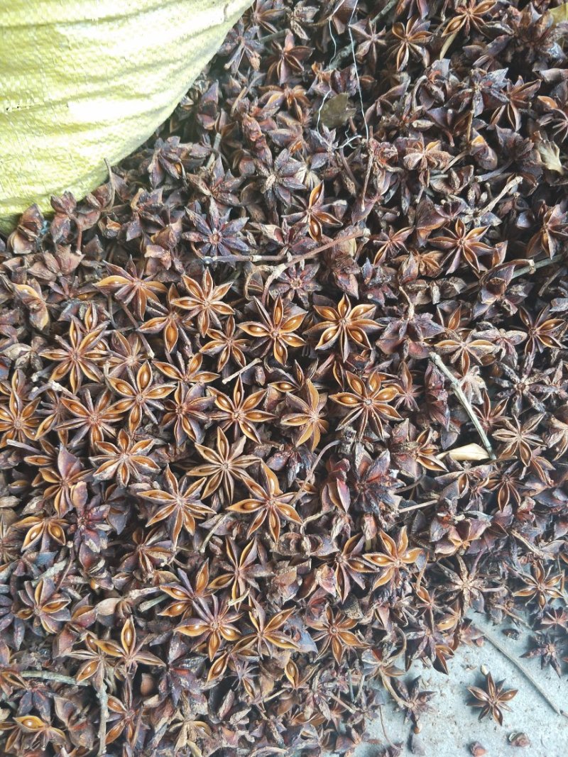 广西八角烫水果无硫磺秋大料一级货