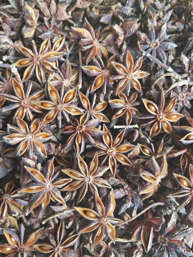 广西八角烫水果无硫磺秋大料一级货