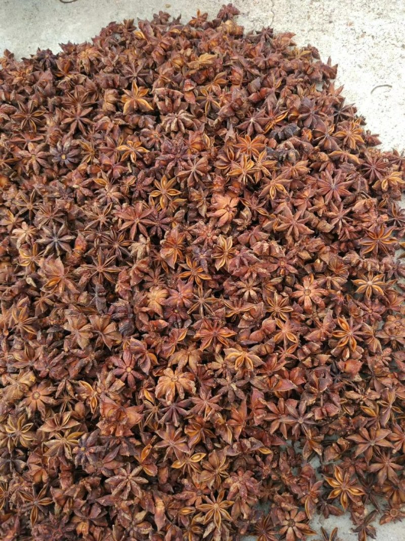 广西八角烫水果无硫磺秋大料一级货