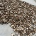 八月瓜优级八月瓜，野生