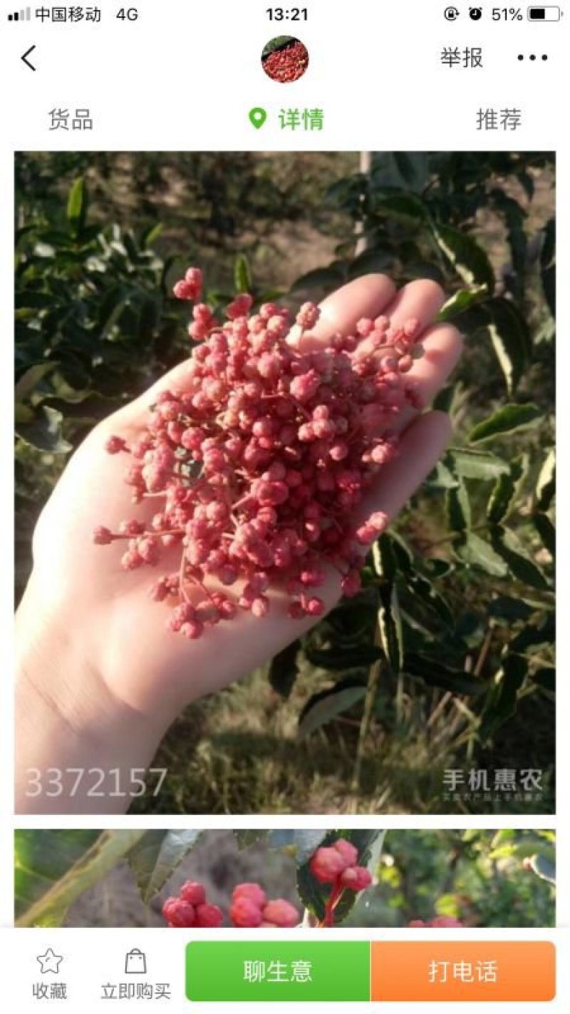 大红袍临夏花椒