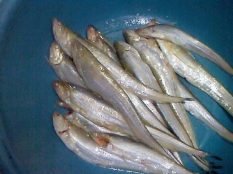 油炸野生淡水毛刀鱼