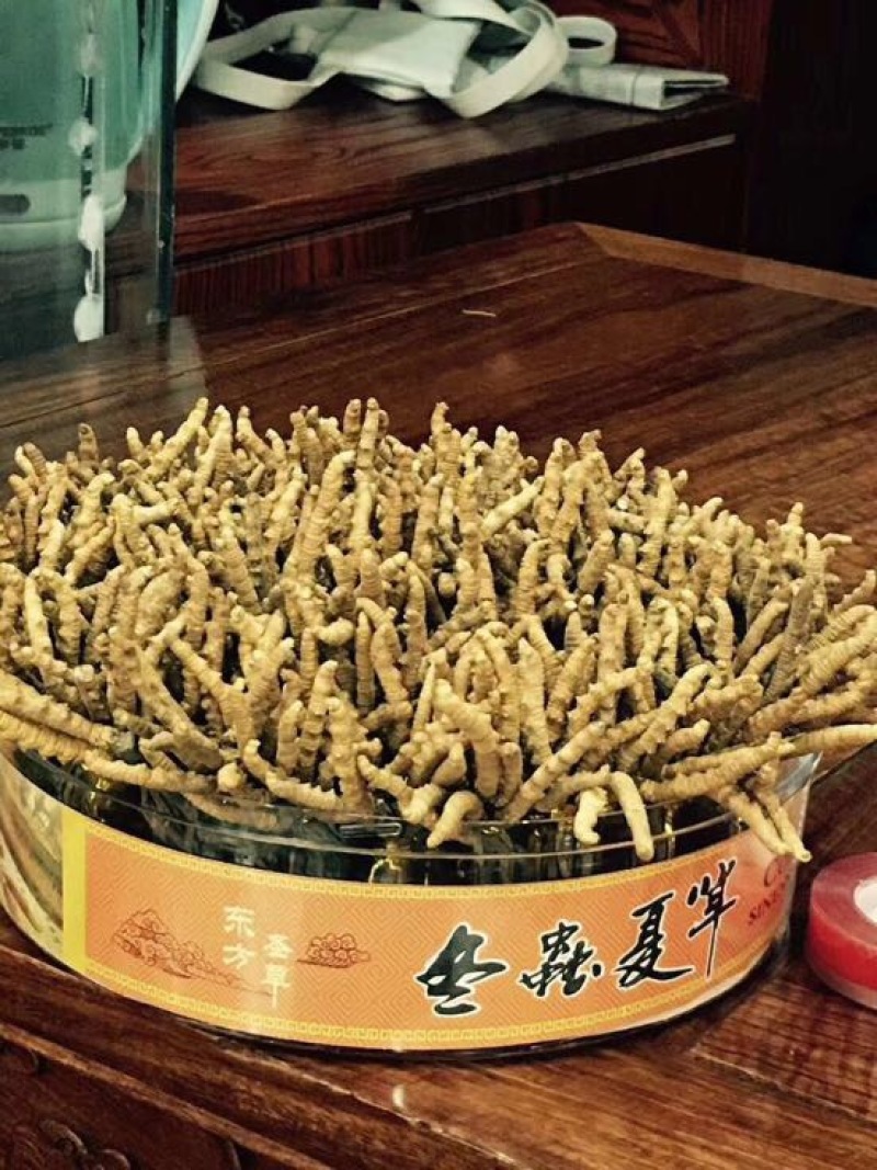 冬虫夏草礼盒装