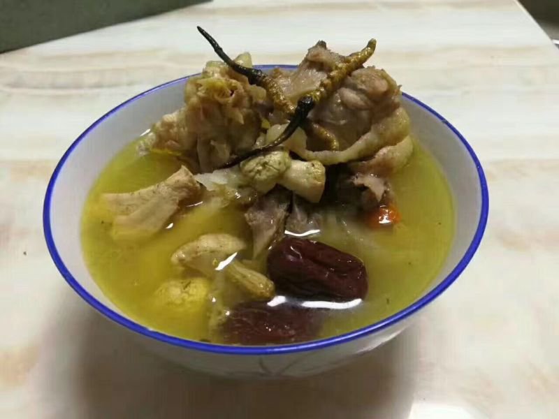 冬虫夏草