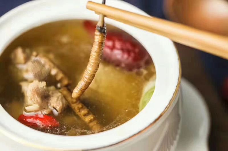 冬虫夏草