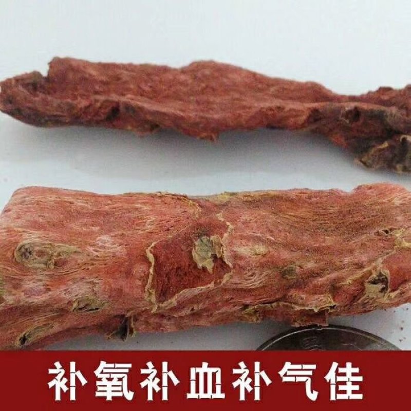 西藏红景天
