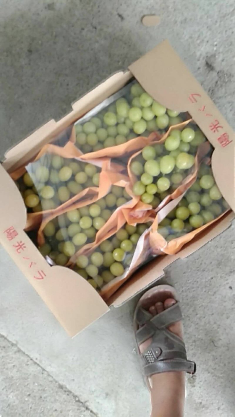 香甜无籽阳光玫瑰葡萄