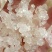 特级红菇，雪燕窝批发零售