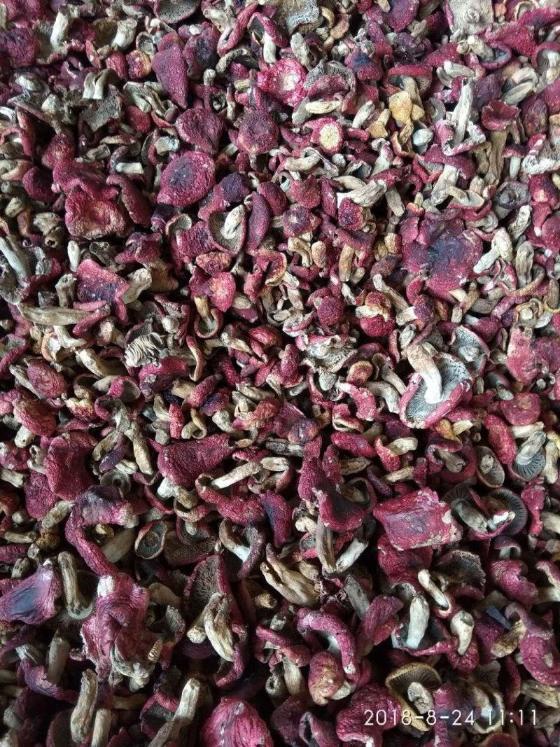 特级红菇，雪燕窝批发零售