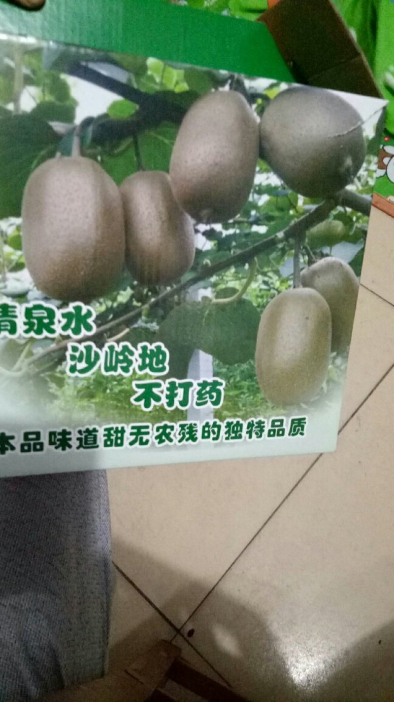 无毛猕猴桃