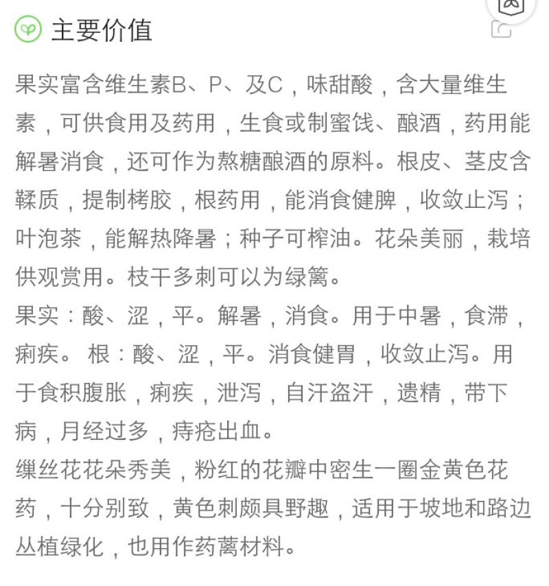 刺梨贵州野生鲜果10斤包邮