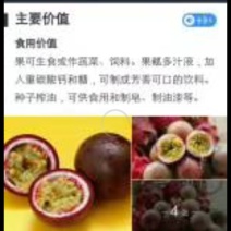 百香果