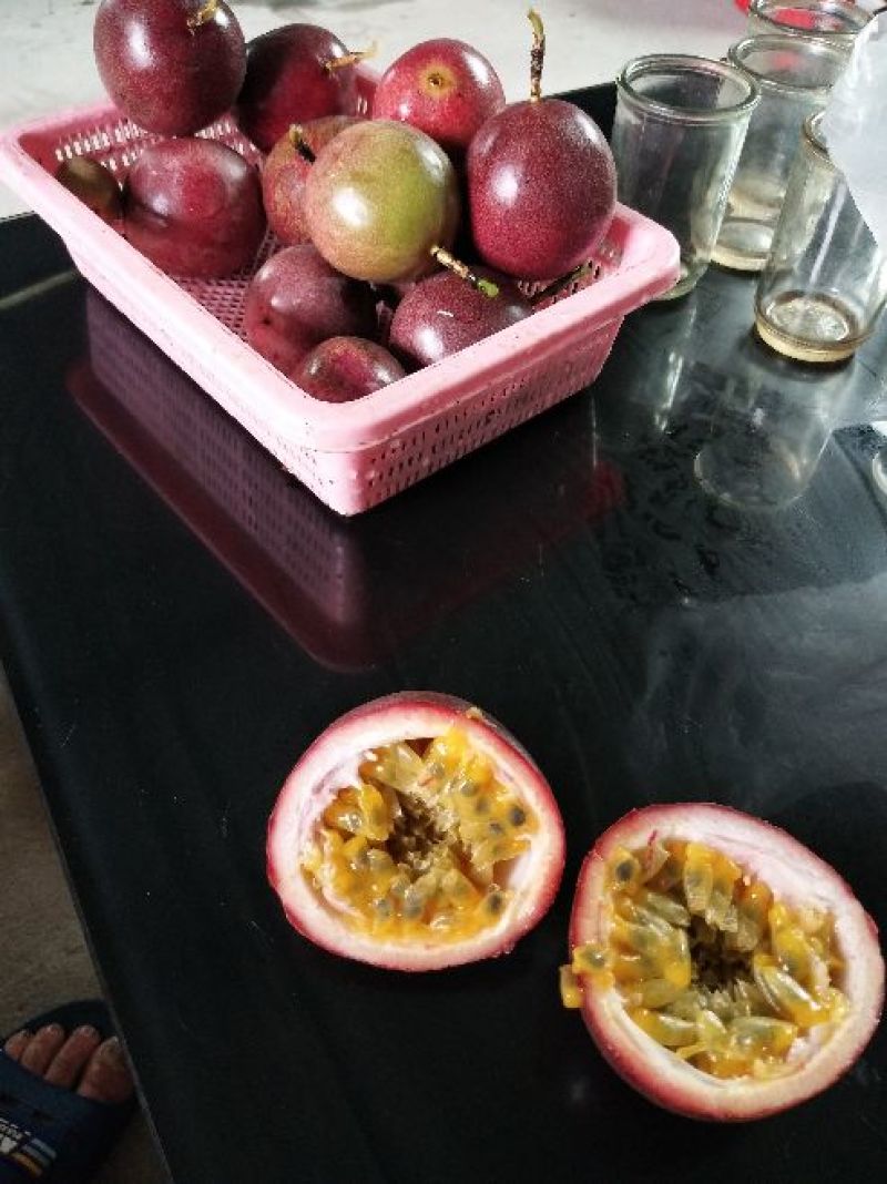 百香果