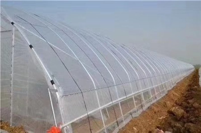 蔬菜大棚钢管大棚4-12米跨度10年不生锈