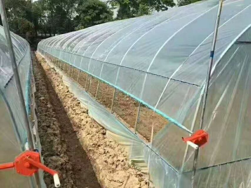 蔬菜大棚钢管大棚4-12米跨度10年不生锈