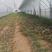蔬菜大棚钢管大棚4-12米跨度10年不生锈