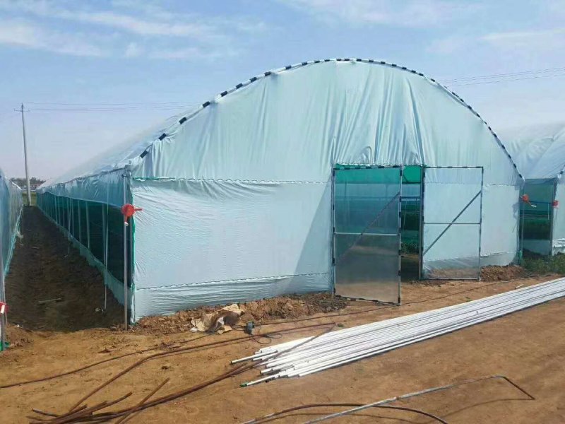 蔬菜大棚钢管大棚4-12米跨度10年不生锈