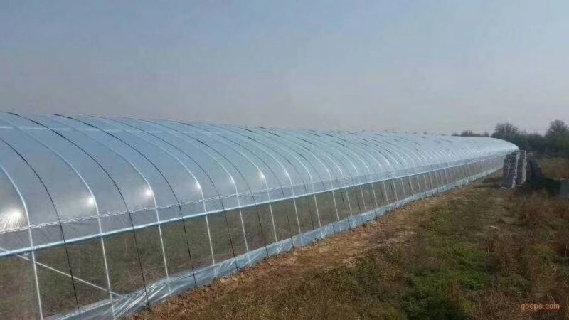 蔬菜大棚钢管大棚4-12米跨度10年不生锈
