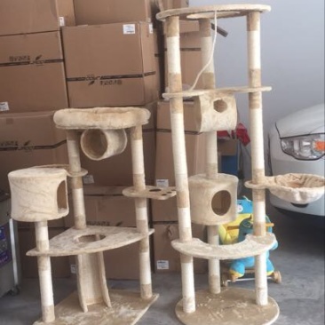 猫粮猫窝，猫爬架