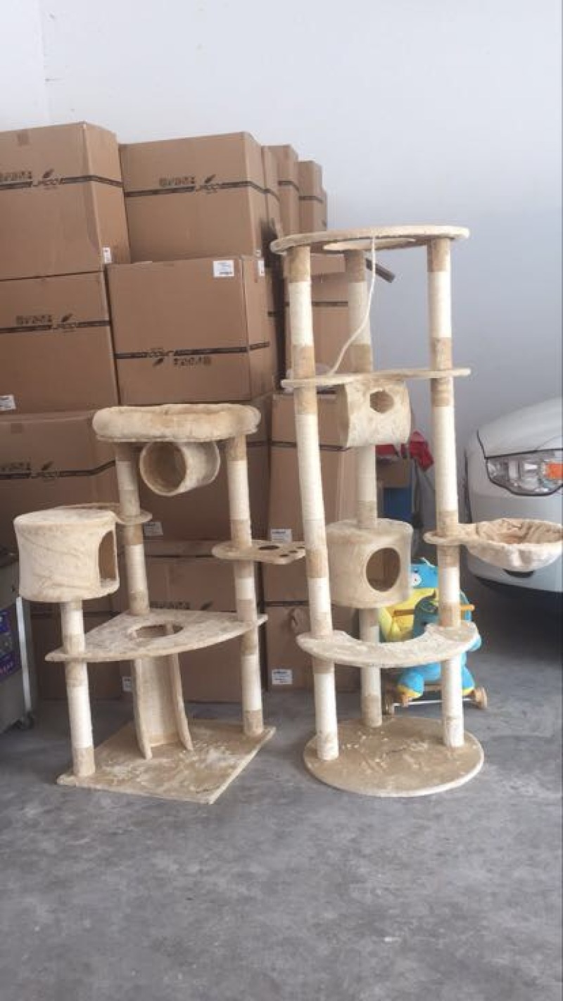 猫粮猫窝，猫爬架