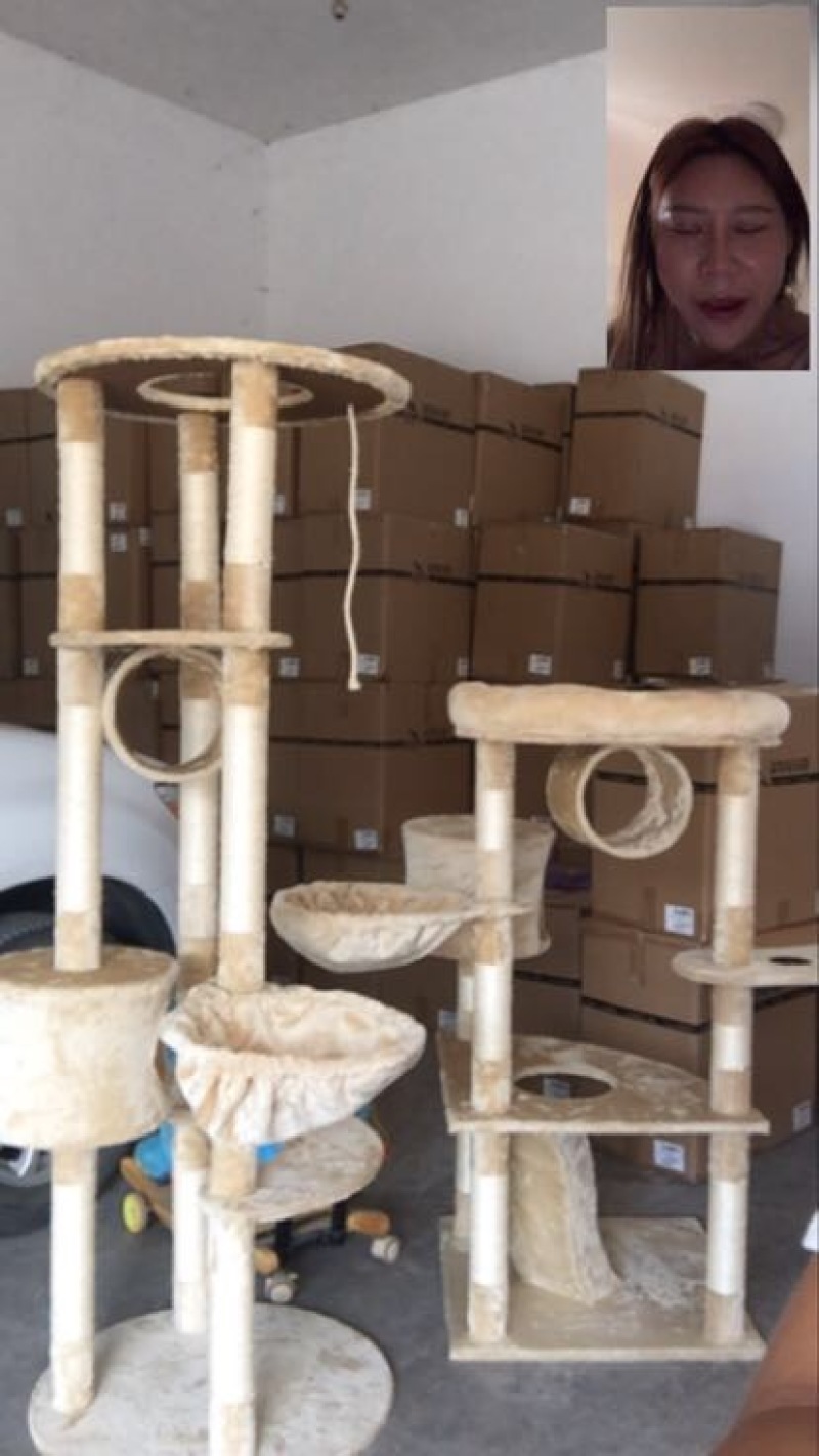 猫粮猫窝，猫爬架