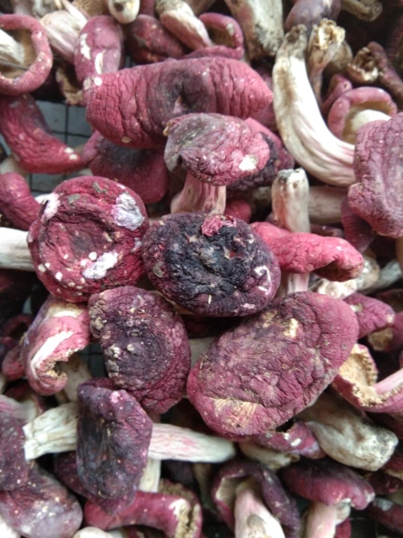 红菇，各种规格，各种价位都有，产地直供价格便宜全国包邮。