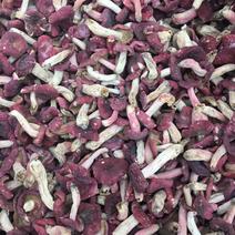 红菇，各种规格，各种价位都有，产地直供价格便宜全国。